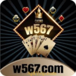 W567 Game