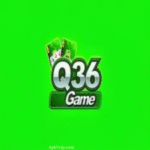Q36 Game