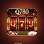 Q789 Game