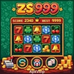 ZS 999 Game